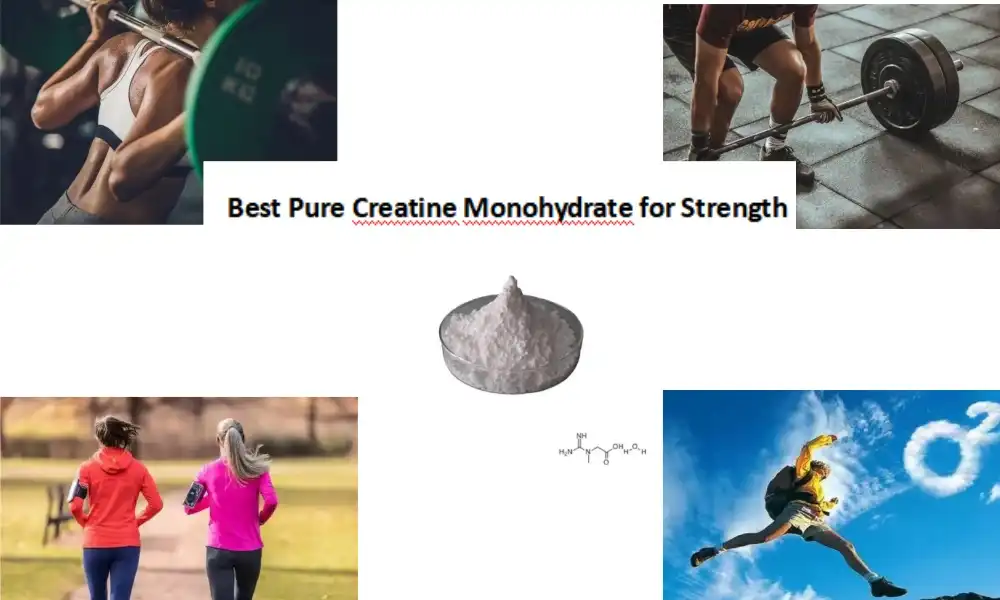 Best Pure Creatine Monohydrate for Strength